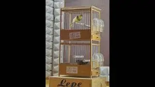 3° DÚOS LEPE 2025