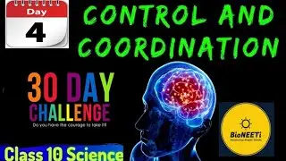 Control And Coordination One Shot Theory & Notes  Class 10 NCERT Science CBSE Day - 4