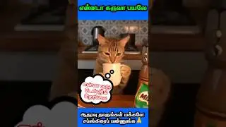 🤣என்னடா கருவா பயலே🤣 animal mind voice comedy in Tamil #comedyvideo #shortsfeed #trending #cat #funny