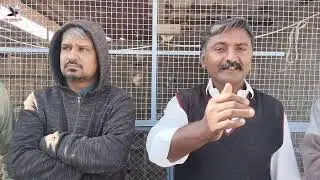 150 + 150 Kabutar Ka Shouq | Titoo Bhai vs Sunny Bhai Sunday Ka Vip Maza .. 😃