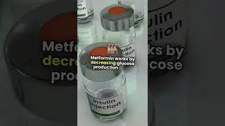 Metformin Explained: Mechanism, Side Effects & Nursing Considerations #Diabetes #Metformin #Nursing