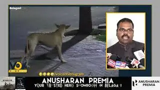 Action on Stray Dog Control Within 2 Months: Belagavi City Corporation Commissioner Karthik M