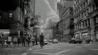 Timothy - Fly