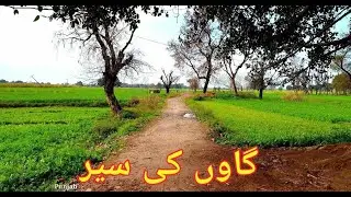 Village life in pakistan my village pirana in district attock pirana gaon in zilla attock pindigheb