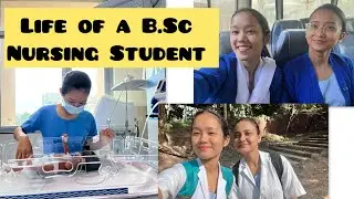 Life Of a Govt B.Sc Nursing Student🧚🏻‍♀️|Cherry Blossom in Regional College Of Nursing Guwahati
