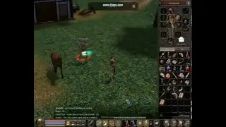 Metin2 - Małe Skille