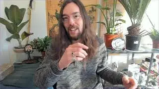 Honk Honk! 4chan's /pol/ Trolls Canadas Parliament ft. Ya'ara Saks