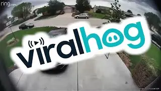 Gust Of Wind Snaps Basketball Hoop || ViralHog