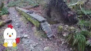 sick squamish unicycle ride