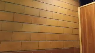 Wooden Brick Wall or Cement Block Wall or Wallpaper Guess