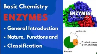 Basic Chemistry, Nature, Classification and Function of Enzymes