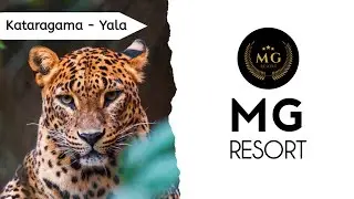 Mg Resort Kataragama | Invite Booking | Kataragama hotel | Yala hotel | Sri lanka hotel