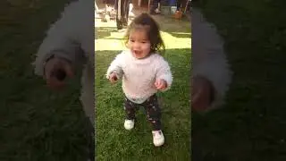 melo datastico