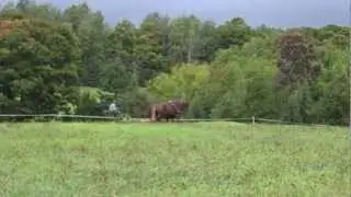 DAPNet Perry Farm