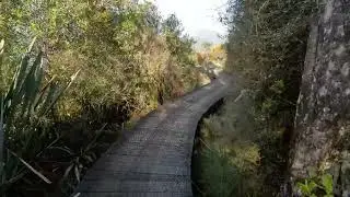 Lake Brunner Scenic Trail Ride Part 1