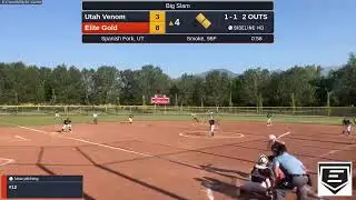 Elite Gold vs. Utah Venom (2024.08.01)