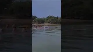 bidar mini Desa Gasing laut kecamatan talang kelapa kabupaten banyuasin