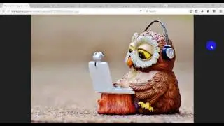 3 Tips for Content Creation