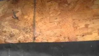 Attic Frost . . . con't