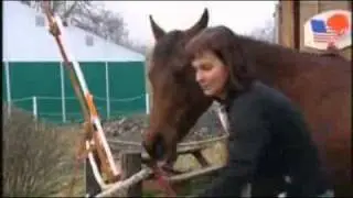 Polish horse paints with its mouth
