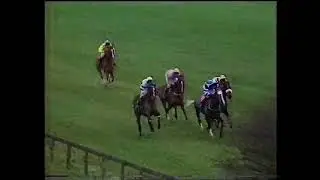1988 Novair Wayward Lad Novices' Chase