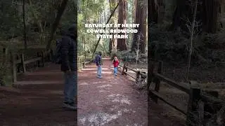 Day at Henry Cowell Redwood State Park