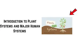 Unit 1 Cellular Organization of Plants and Anim Chapter 6 Introduction to Plant Systems