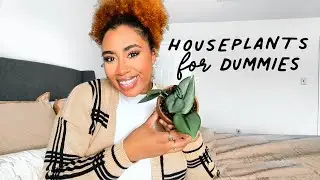 Stop Killing Your Plants! Beginner houseplant care guide | Indoor Plants 101