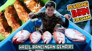 MUKBANG IKAN FRESH, DAGINGNYA LEMBUT BANGET&hellip;