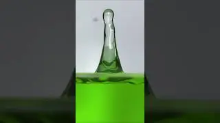 Surface Tension in Slow Motion #shorts #water #surfacetension #slowed #science #physics #nature