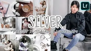 SILVER Lightroom Presets   Free Lightroom Preset Tutorial FREE DNG