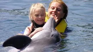 Delfintherapie in Marmaris - Schwimmen mit Delphinen