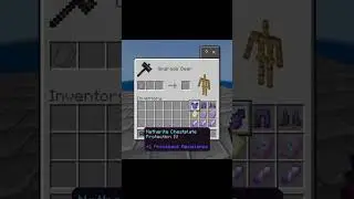 Void king Armor Trim Combination#minecraft
