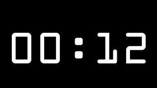 12 Second Timer with Alarm (Count Up Stopwatch)