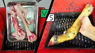 Ostrich Bone vs Cow Bone vs Shredder | Satisfying ASMR Video!