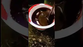 jam dosa