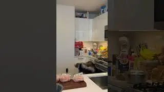 Моя Забавная Кость