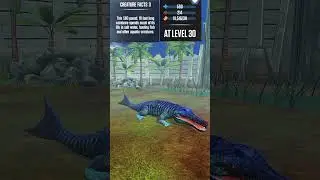 METRIORHYNCHUS ALL EVOLUTION LEVEL 10 TO LEVEL 40 JWTG#shorts