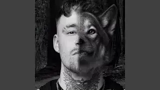 Wolves
