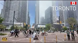 Toronto Canada 4K Walking Tour - Waterfront Foggy Weather  | Canada Travel vlog