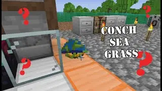 Conch Sea Grass in Oceanum Modpack