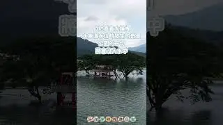 嘉義秘境｜沉沒的亞特蘭提斯？湖濱公園六角亭現身水中｜曾文水庫滿水奇景｜大埔風景區 #冰淇淋的旅遊日記