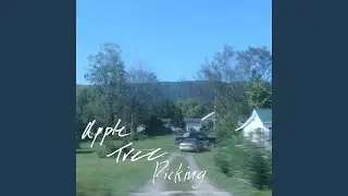 apple tree picking