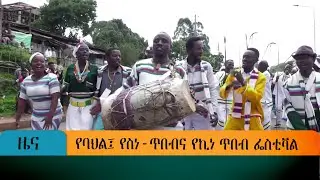 የባህል፤ የስነ-ጥበብና የኪነ ጥበብ ፌስቲቫል