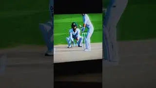 Perfect leg spin |Cricket 19