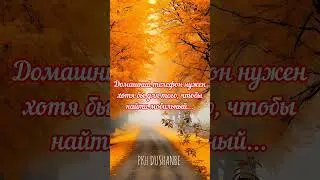 С добрым утром Друзья #shortsyoutube #snow #love