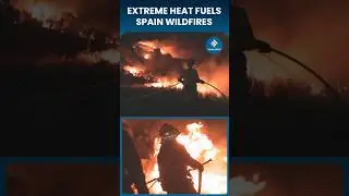 Spain Wildfires Kill Volunteer Firefighter as Heatwave Hits Record Temperatures | EU Aid Requested