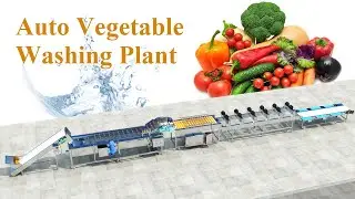Fabulous! Automatic Vegetable Washing Plant | Potato Washing & Drying & Picking Line #vegetables
