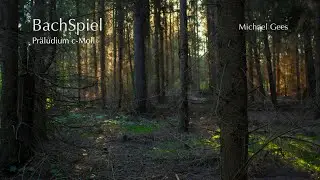 BachSpiel Pr&auml;ludium c-Moll