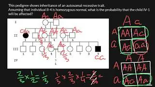 How to Solve Probability Problems in Genetics